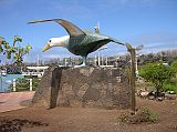 Galapagos 5-1-10 Puerto Ayora Waved Albatross Statue If you didnt get a chance to see a waved albatross, there is a large one in Puerto Ayora.